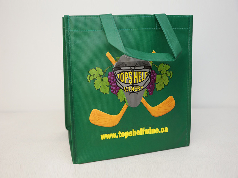 6 Bottles bag PP non woven laminated